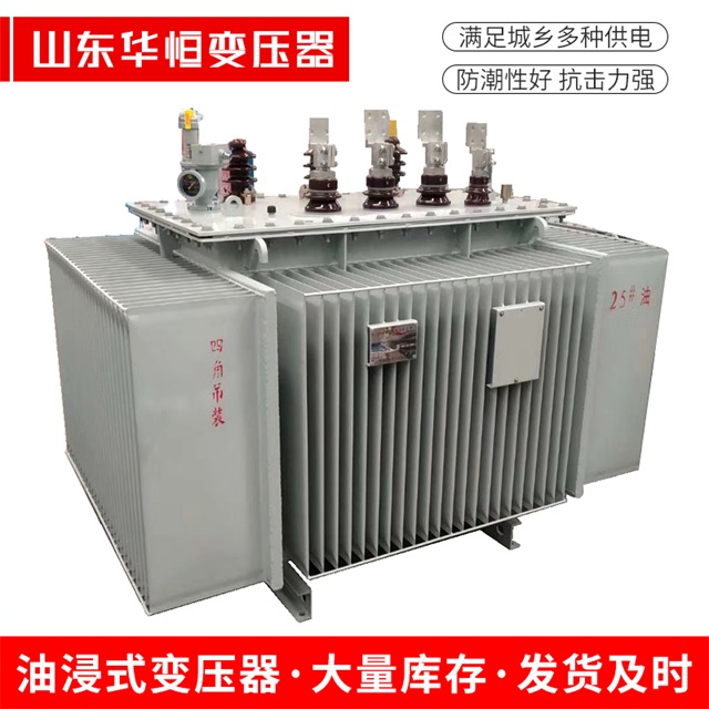 S13-10000/35新华新华新华电力变压器厂家